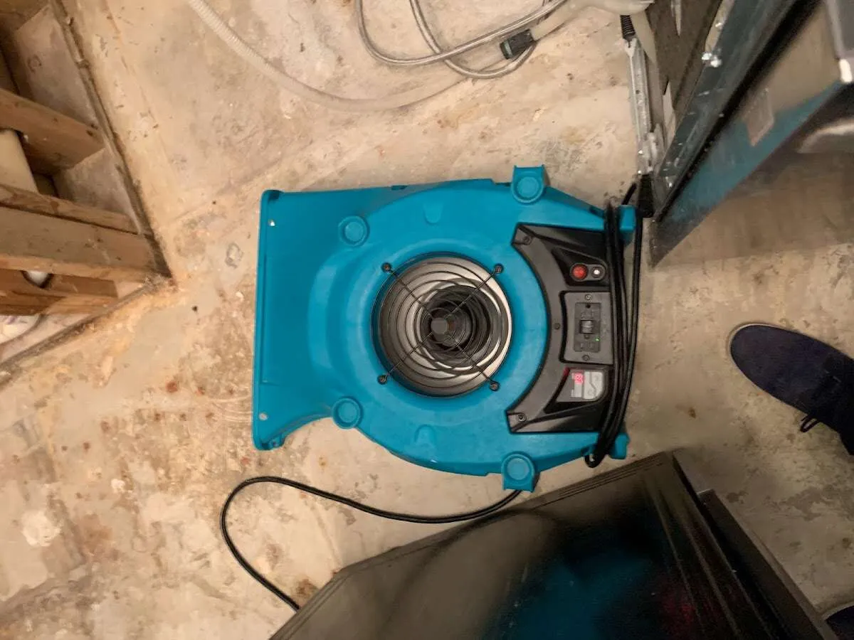 Air mover drying equipment for Mold Remediation & Removal in Woodcliff Lake